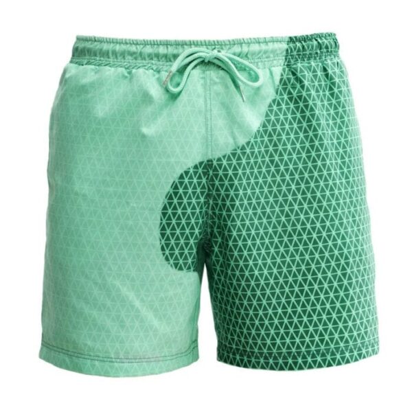 Swimming Trunks